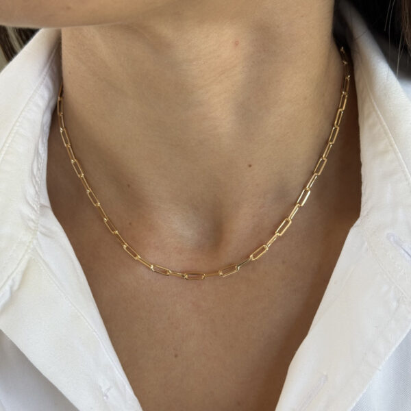 Colar elos dourado